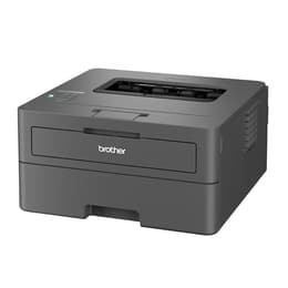 Brother HL-L2400DW Monochrome Laser