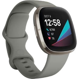 Horloges Fitbit Cardio GPS Sense - Grijs